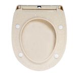 Beige Flecks Soft Close Toilet Seat