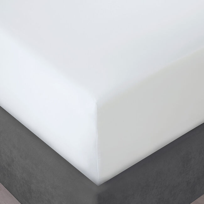 SB FITTED SHEET 500 Threadcount Cotton White