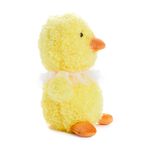 Easter Duck