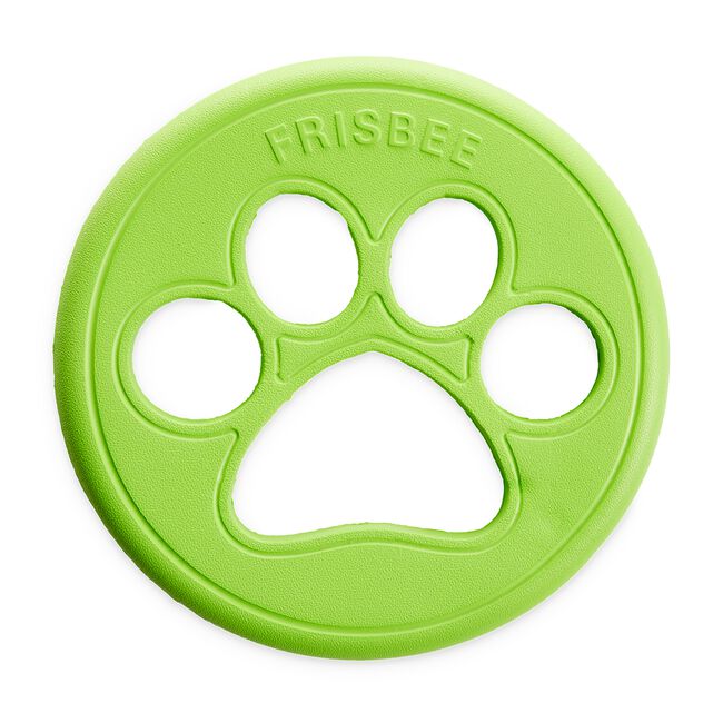 Dog Eva Foam Frisbee