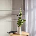 Eucalyptus Spray Green 88cm