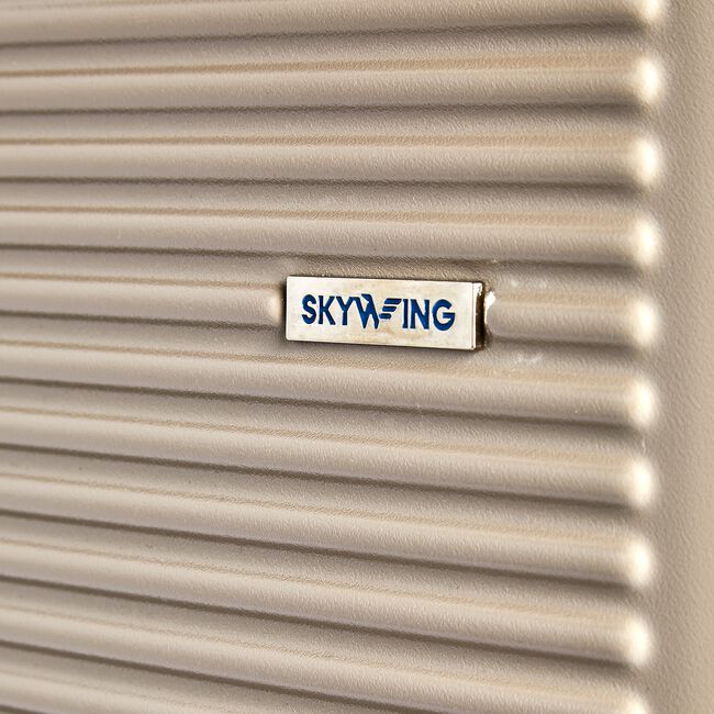 Large Lightweight Hardshell Luggage - Champagne