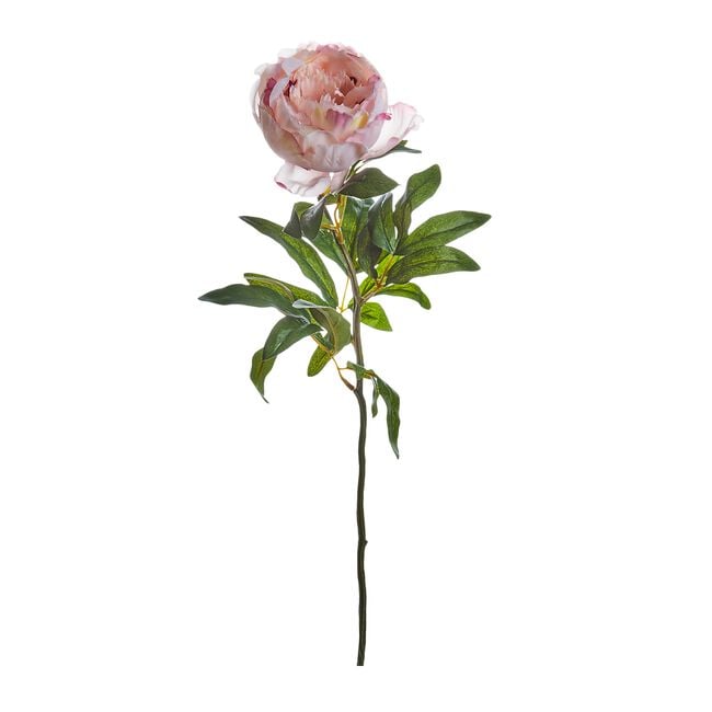 Peony Single Stem Pink Flower 74cm