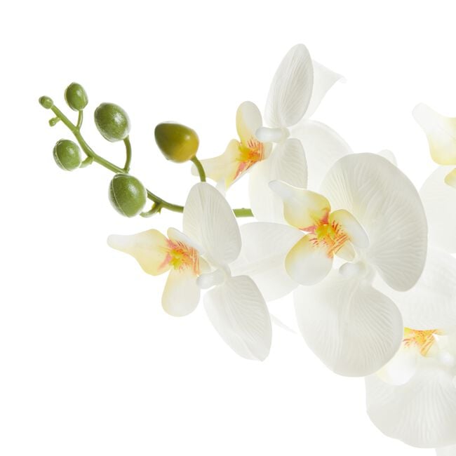 Artificial Orchid Flower 75cm