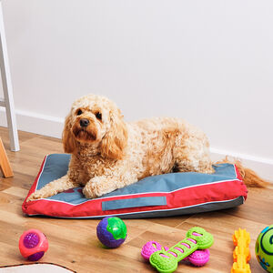 Small Double Sided Waterproof Pet Cushion