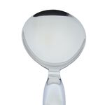 Stellar Premium Rice Ladle