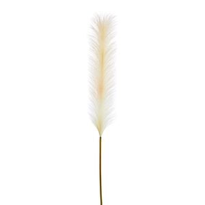 Pampas Single Stem Natural 96cm
