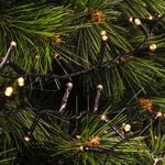  Warm LED Star Bright Lights White 500