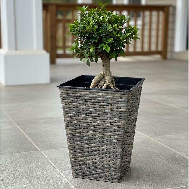 Rattan Square Plant Pot Natural