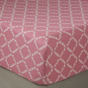 LILYROSE Single Fitted Sheet 