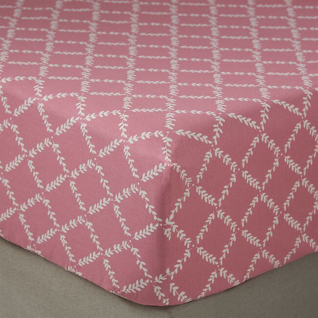 LILYROSE Single Fitted Sheet 