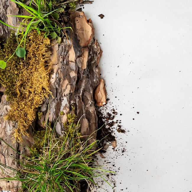 Sophie Conran 200ml Strength Diffuser Refill