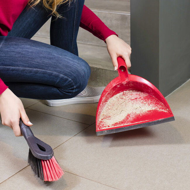 Vileda Dustpan & Brush Set
