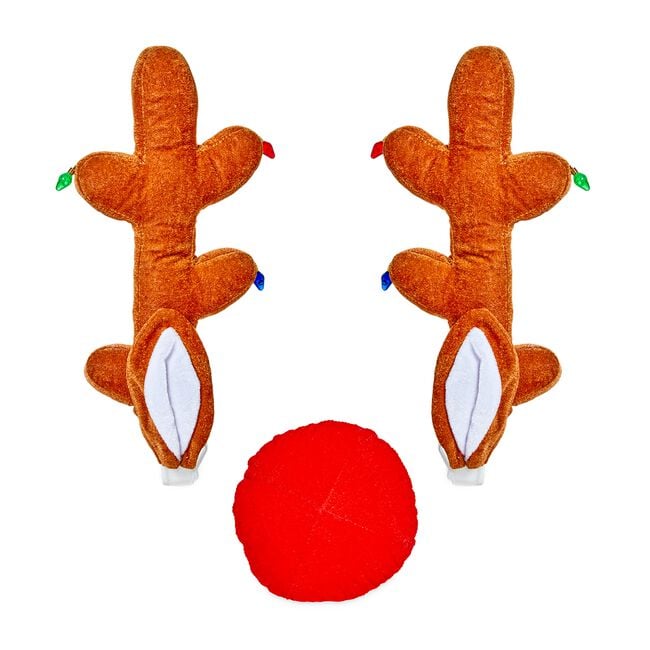 Reindeer Car Kit