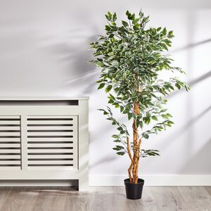 1.5M Artificial Variegated Ficus Tree