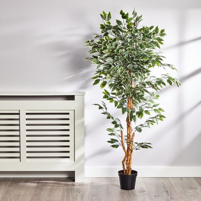 1.5M Artificial Variegated Ficus Tree