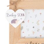 First Steps Garden Tales Baby Scan Frame