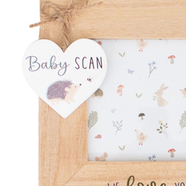 First Steps Garden Tales Baby Scan Frame