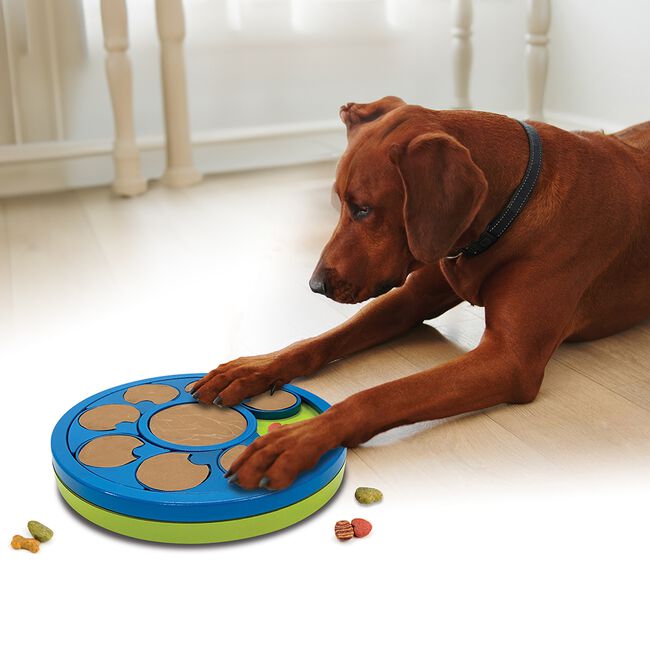 JML Dog Treat Puzzle Toy