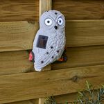 Bright Eye Bird Solar Light