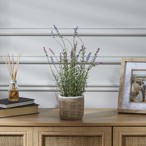42CM Lavender In Pot