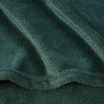 NICOLE DAY FLEECE Sage 150x180cm Throw&nbsp;&nbsp;&nbsp;&nbsp;&nbsp;&nbsp;&nbsp;&nbsp;&nbsp;&nbsp;&nbsp; 