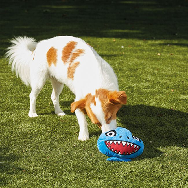 JML Chuckle Chums Shark Pet Toy