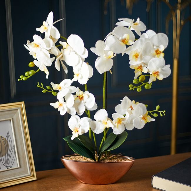 75cm Orchid Flower