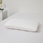 Beaux Reves Gold Piped Pillow