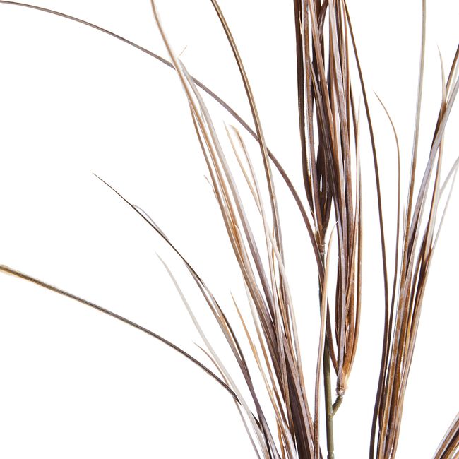 Grass Spray Vanilla Faux Flower