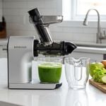 Nordhaus Horizontal Slow Juicer