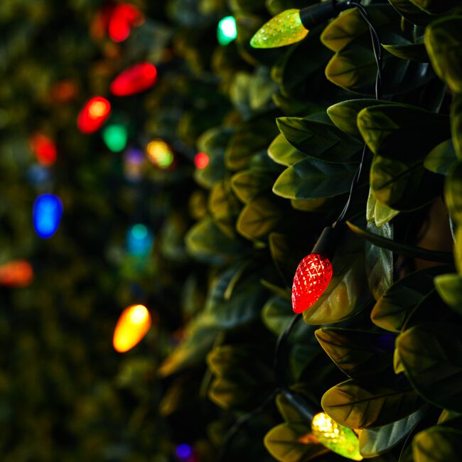 35 LED Novelty Solar String Lights