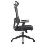 Ergonomic Office Chair