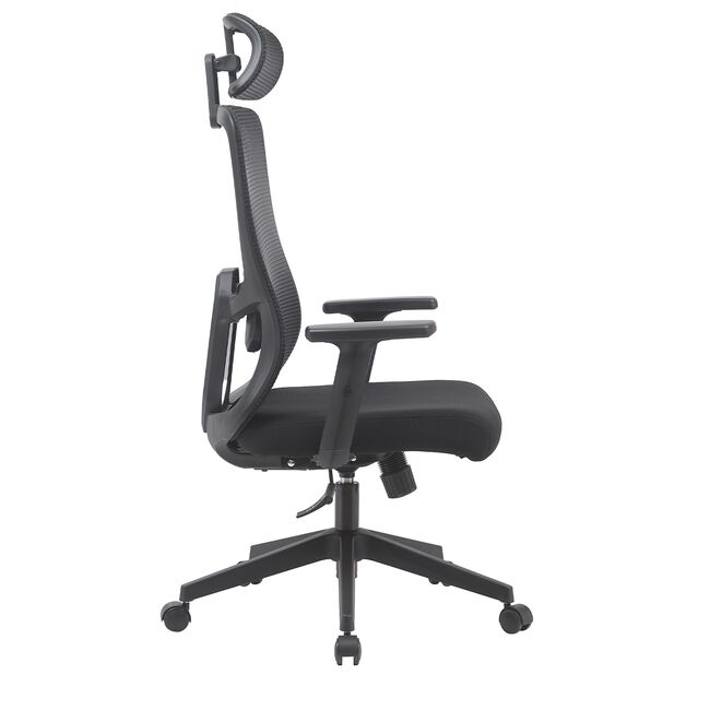Ergonomic Office Chair