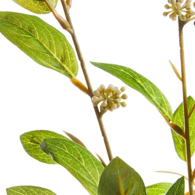 Eucalyptus With Berries Spray - 104cm
