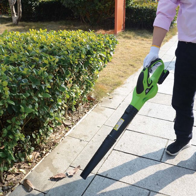 Rookhaven 20V Cordless Leaf Blower