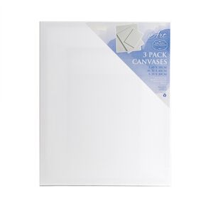 3 Pack Art Canvas 
