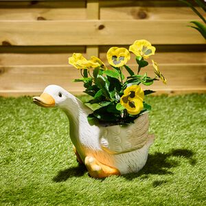 Duck Plant Pot