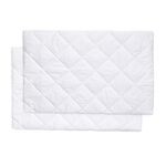 Anti Allergy Pillow Protector Pair