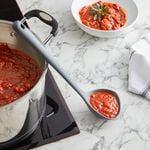 Judge Silicone Ladle