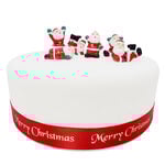 Fun Santa Cake Picks 5 Pack