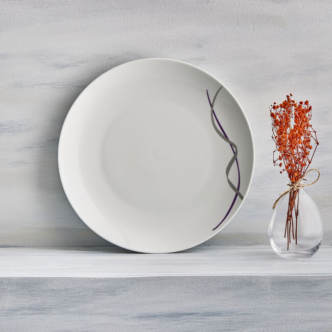 Ribbon 16 Piece Dinner Set