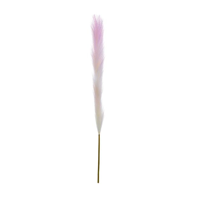 Pampas Single Stem Pale Pink 96cm