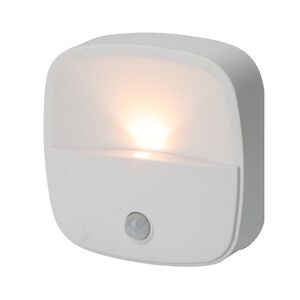 FX Motion Light LED Light with Sensor