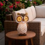 Solar Owl with Moving Eyes