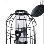 Seed Bird Feeder