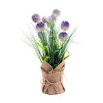 50CM Purple Onion Ball In Jute Bag