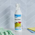 HG Mould Spray 0.5L
