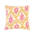 Raspberry Coulis 45cm x 45cm Cushion