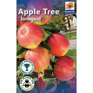 Jonagold Apple Tree